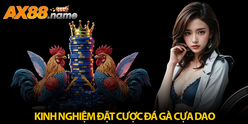 Bật mí mẹo cược chọi gà cựa dao tăng xác suất thắng